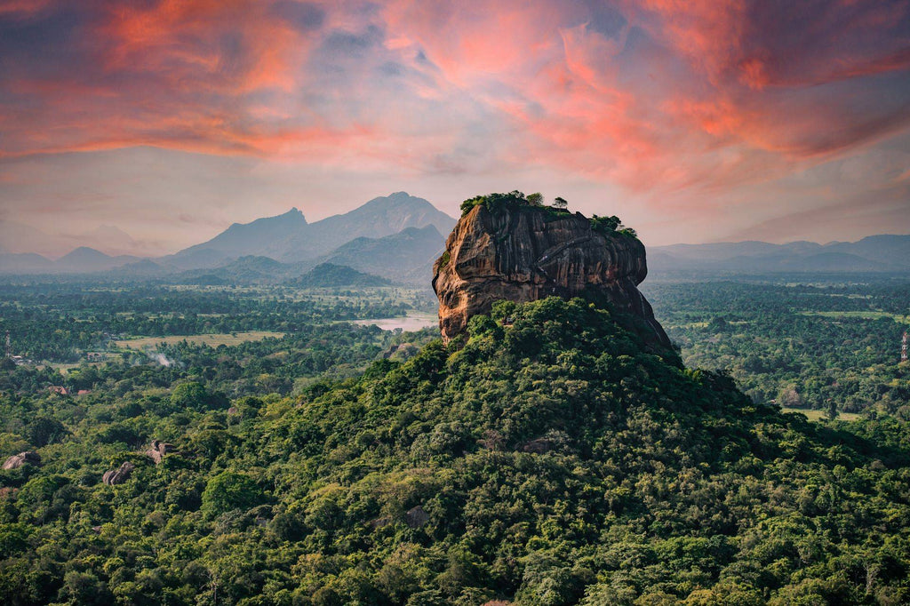 L'histoire des épices au Sri Lanka : Un voyage dans le temps et les différentes saveurs