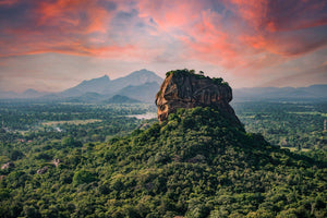 L'histoire des épices au Sri Lanka : Un voyage dans le temps et les différentes saveurs